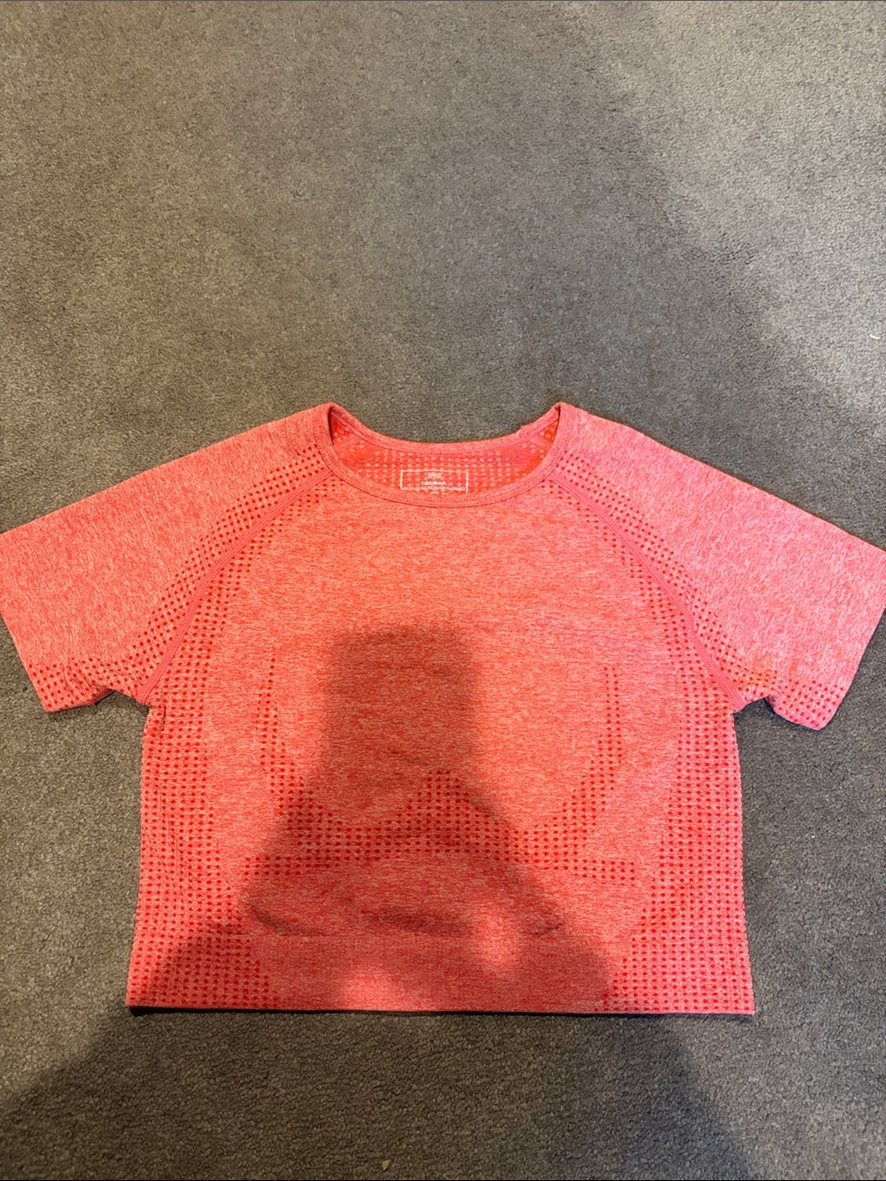 Coral Pink Seamless Athletic Crop Top